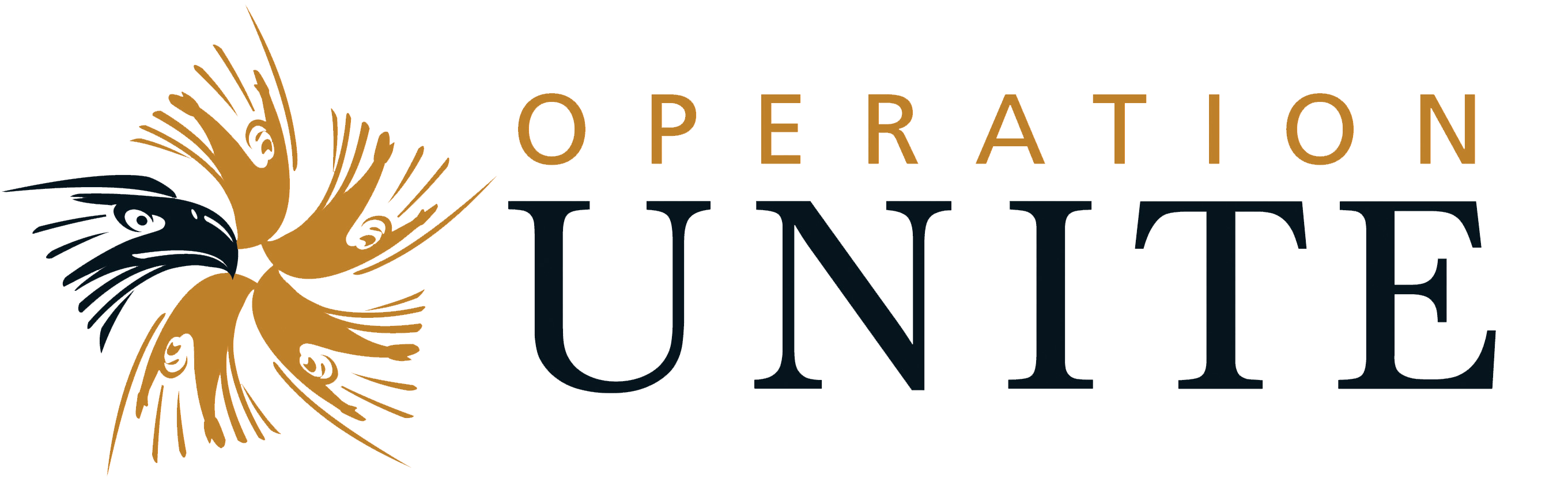 Operation Unite image